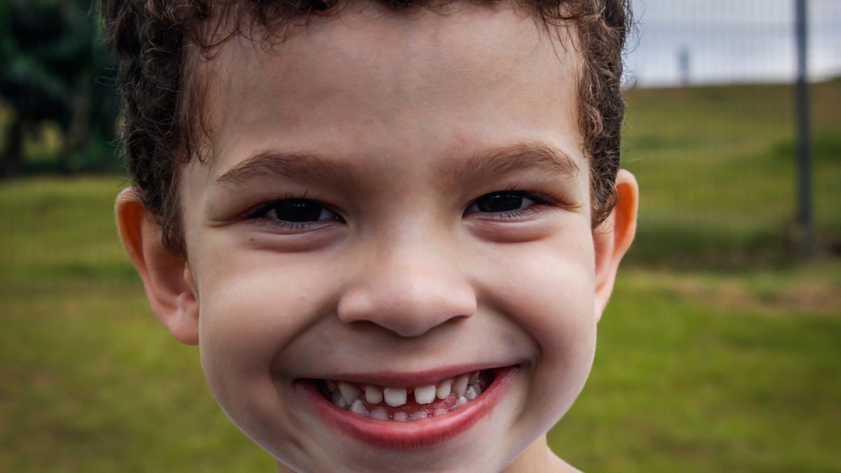 Los dientes tienen la función masticatoria y es importante cuidar su higiene.