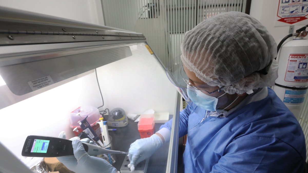 Referencial. Estas nanopartículas permiten 