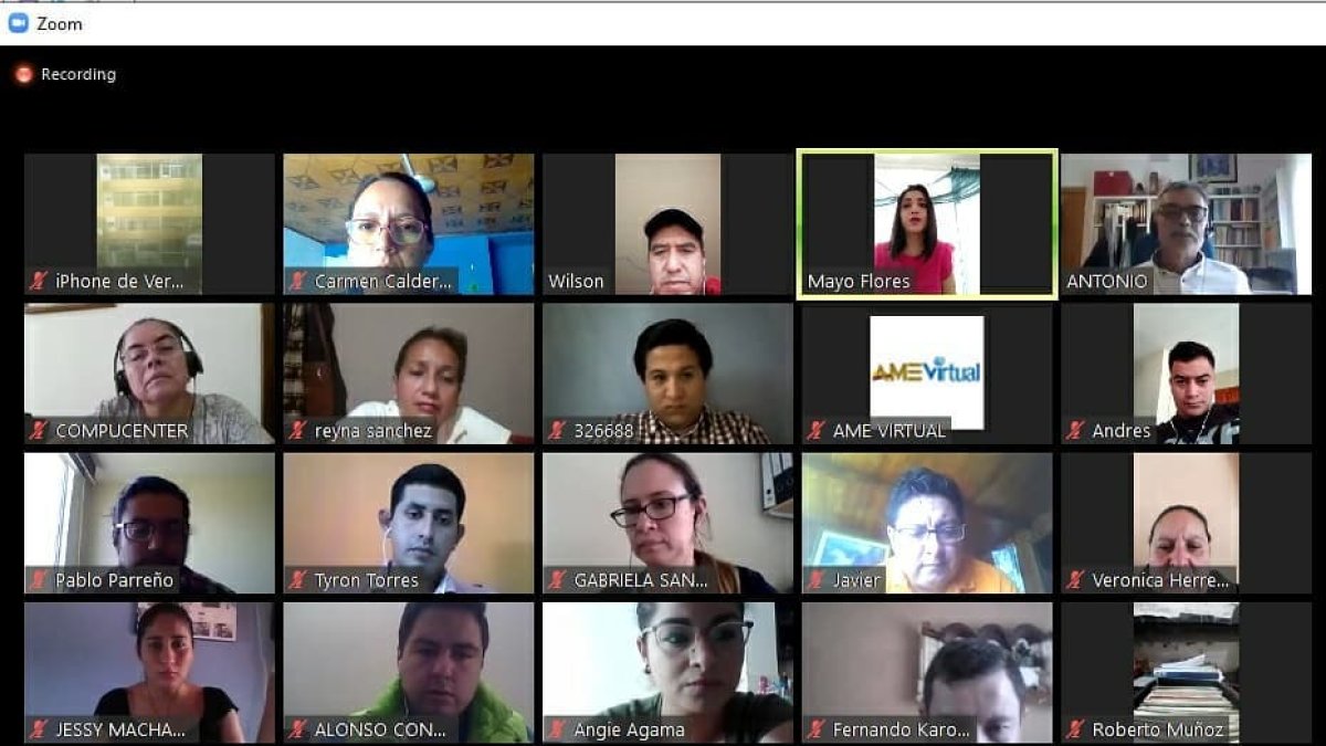 Los miembros de AME han tenido varias reuniones virtuales para discutir la situación.