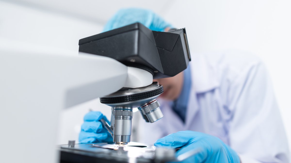 Imagen referencial. El estudio se está llevando a cabo con lámparas específicas que emiten dosis continuas, bajas y de una longitud de onda particular.