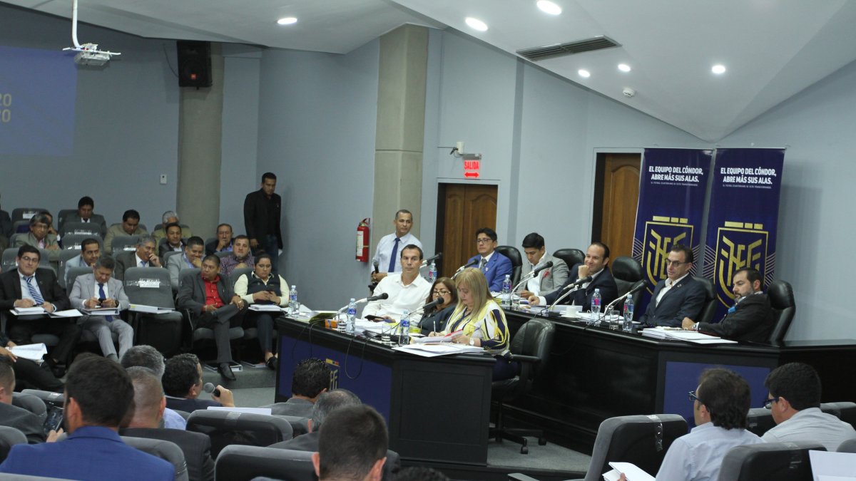 El 1 de mayo está previsto que se realice el Congreso Extraordinario de la FEF donde se definirá el futuro de la presidencia de la institución.