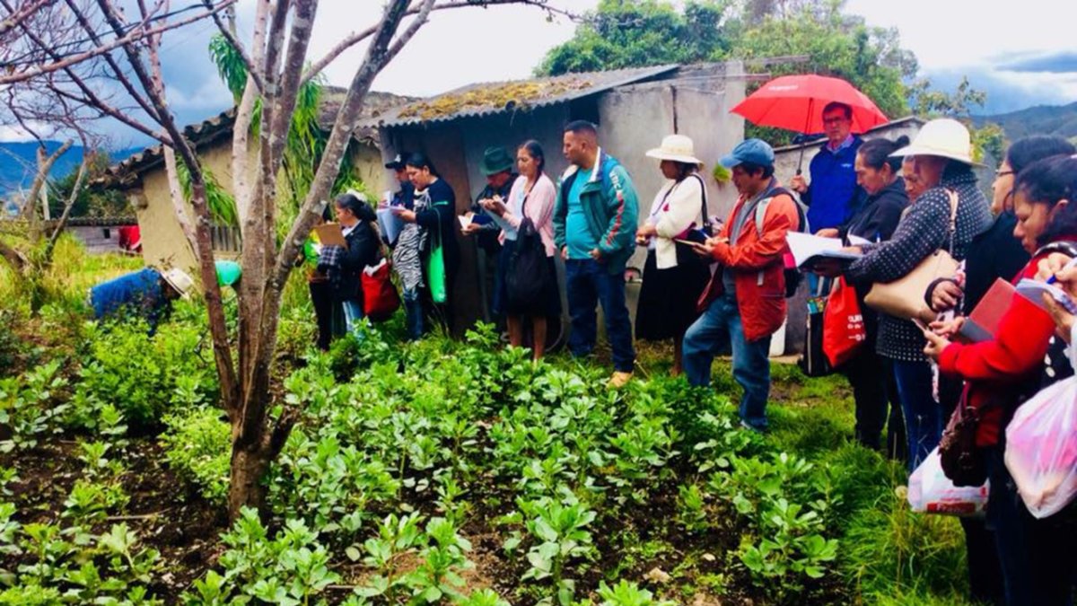 Sembríos. El proyecto de los indígenas es válido en tiempo de crisis que enfrenta el mundo.