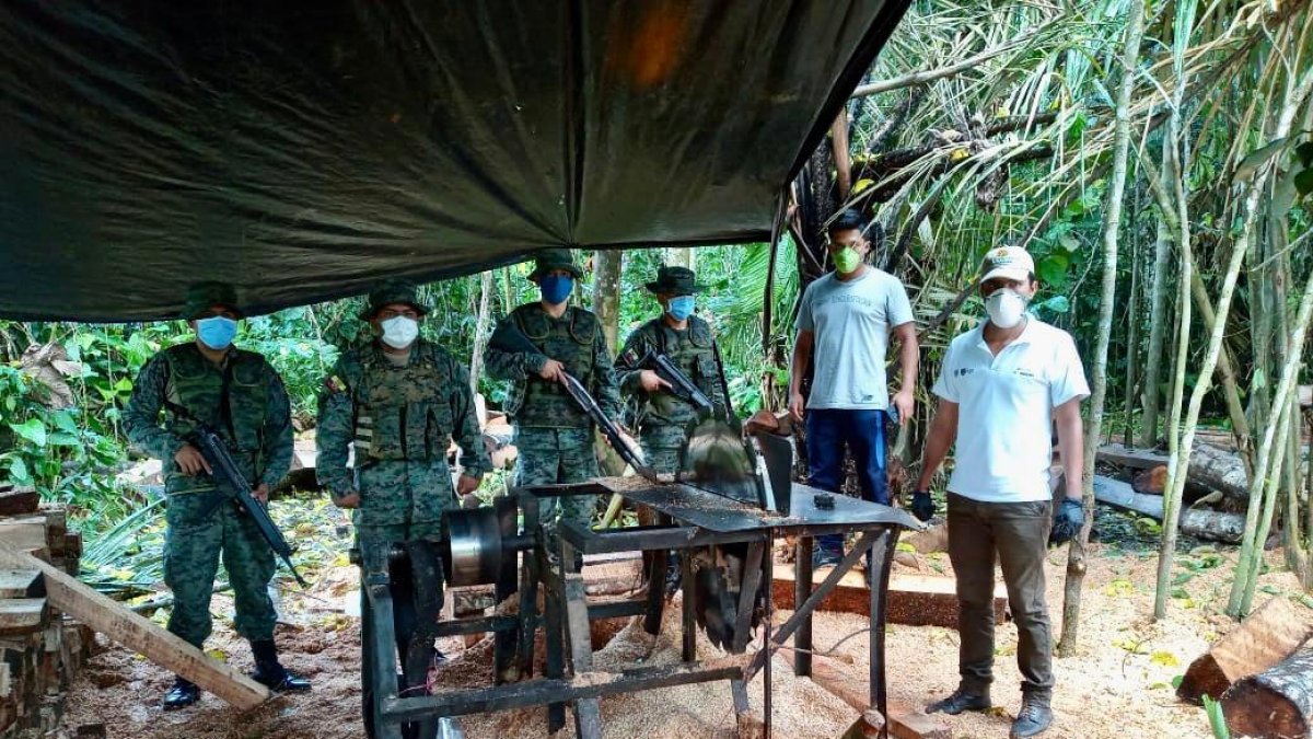 Miembros de Fuerzas Armadas localizaron un aserradero clandestino en la reserva Cuyabeno