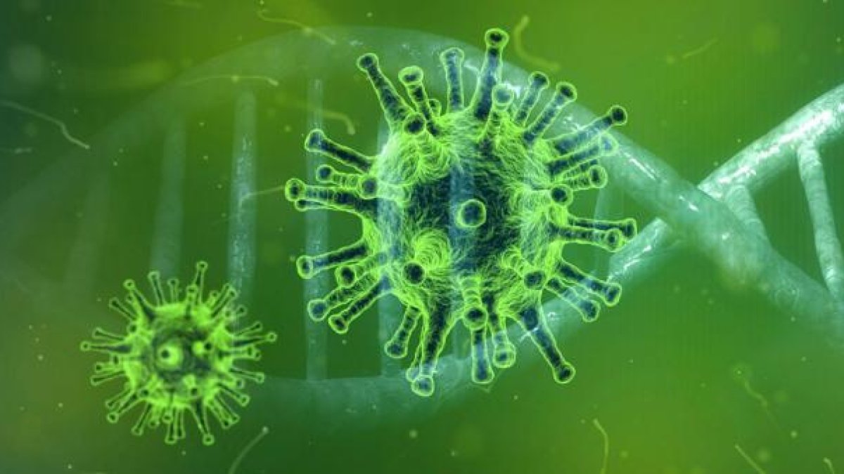 Referencial. Los investigadores aseguran que el modelo es tan preciso como el sistema de puntuación humano y puede ampliarse para revisar una mayor cantidad de documentos en una fracción del tiempo.