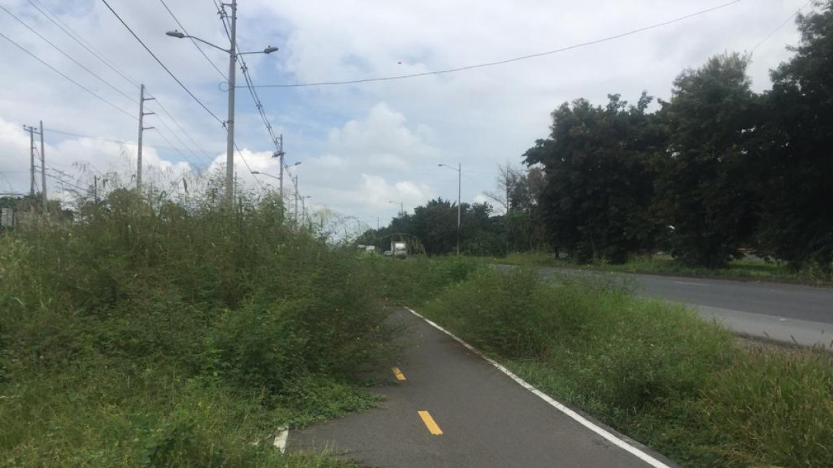 Entorno. Ese es el panorama actual que se percibe en vía a la costa.