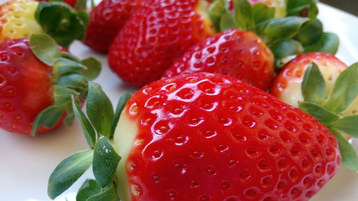 Las frutillas son ricas, pero también pueden contener microorganismos dañinos para la salud, por eso hay que lavarlas bien.