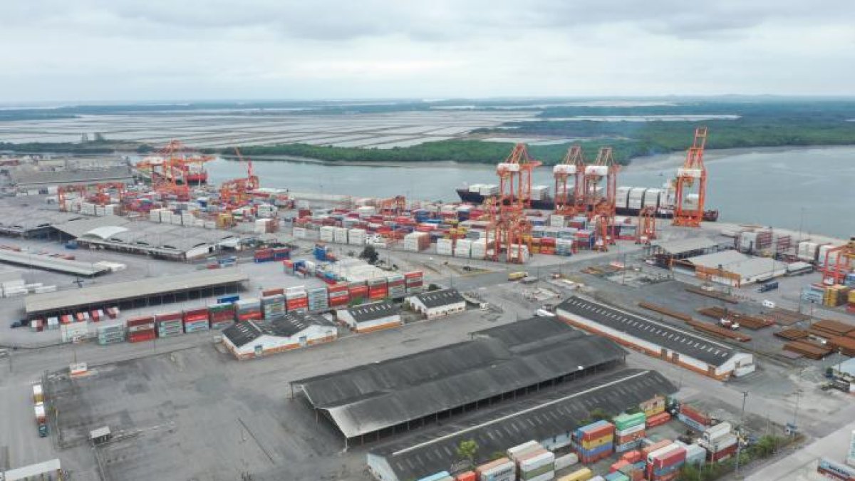 Los exportadores prevén que los envíos al exterior disminuyan debido a una contracción en el consumo a escala mundial.