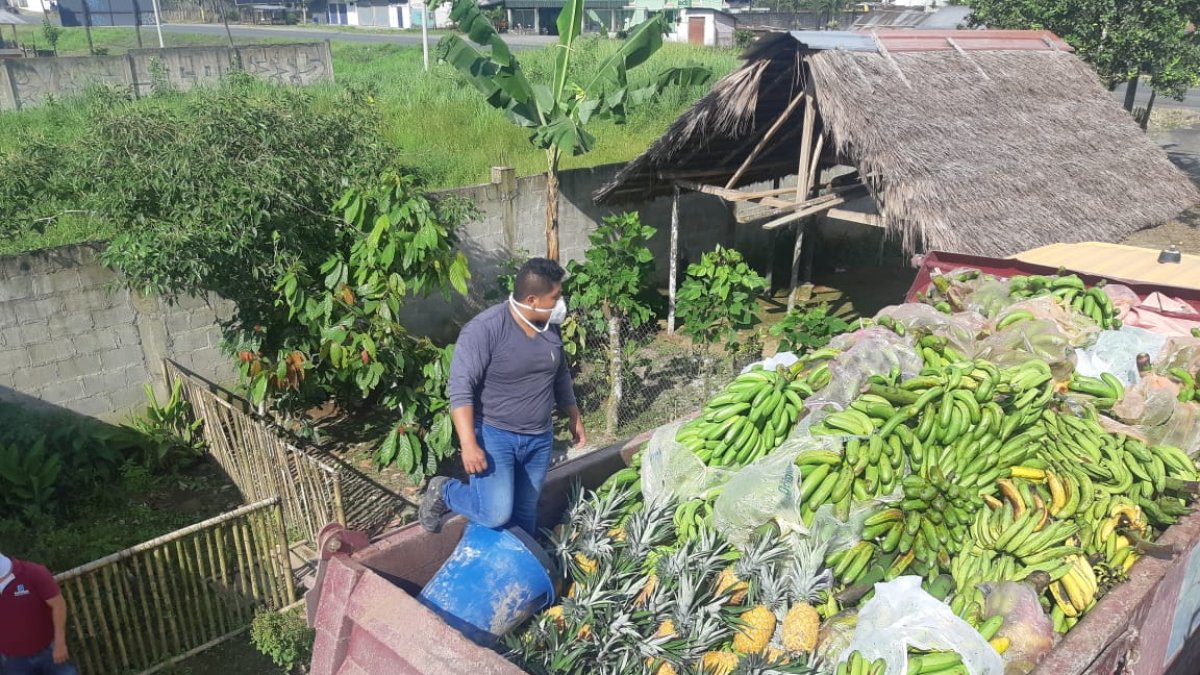 Abastecer. Los volquetes llegan desde Santa Elena hasta las comunidades tsáchilas a ver los productos del campo para repartir a sus hermanos