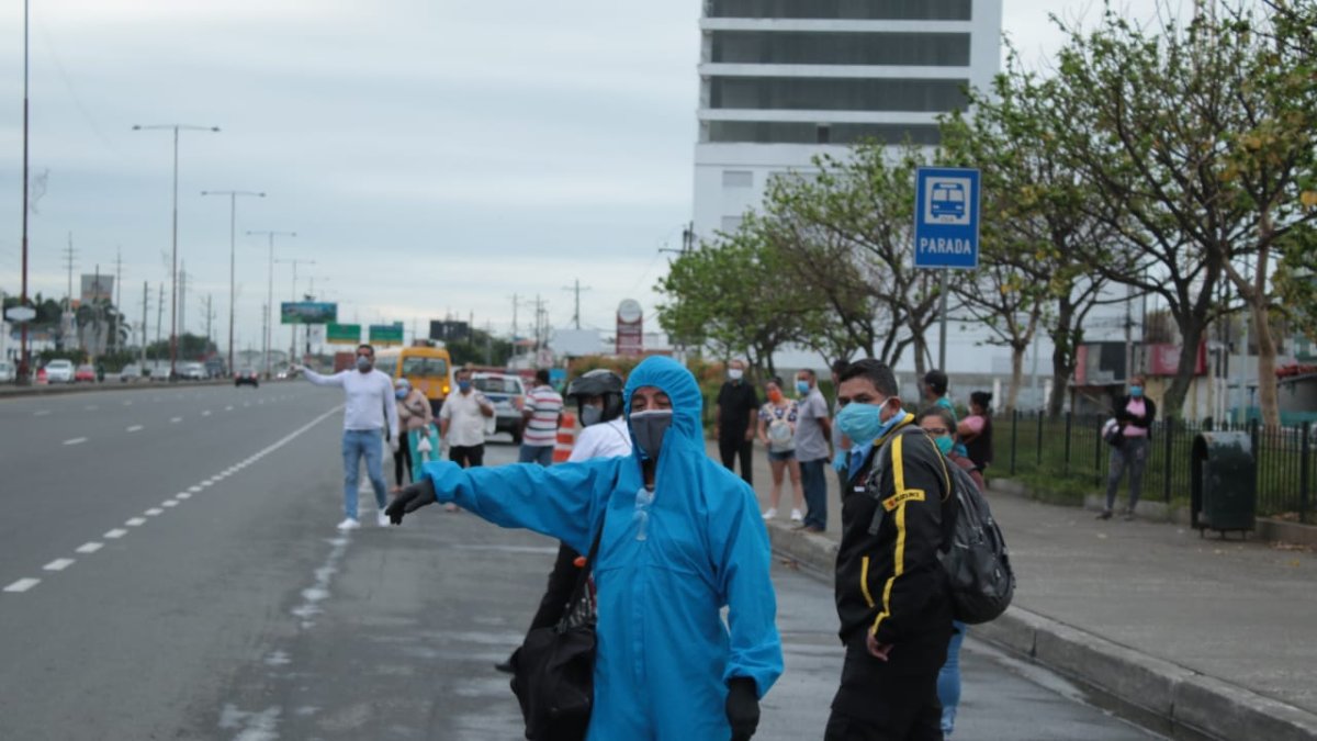 Ciudades que cambiaron de color de semáforo a amarillo como Daule o Babahoyo tuvieron un descenso en la curva de contagio.