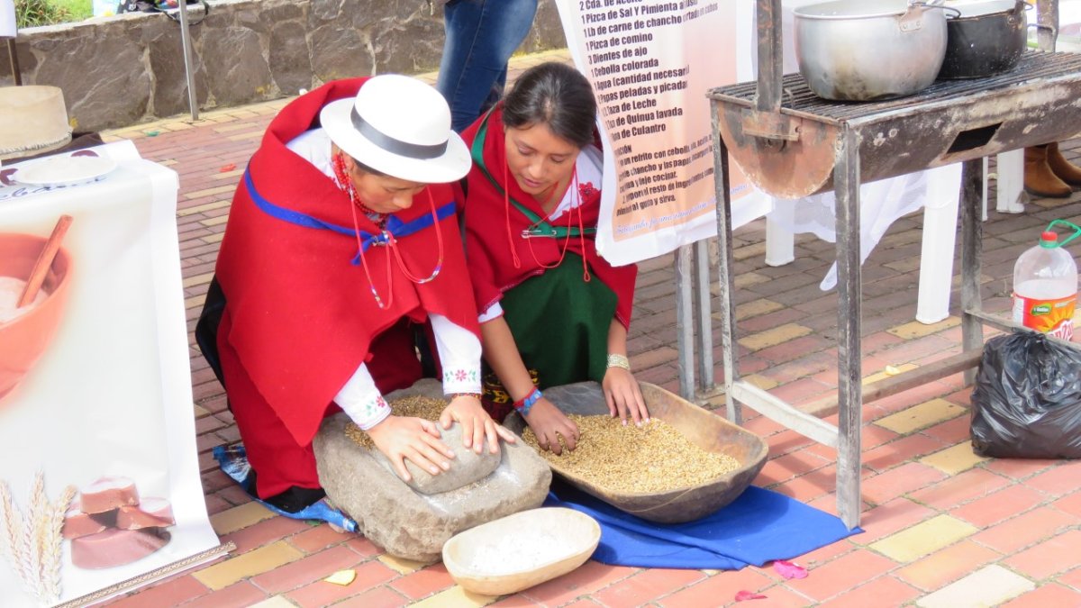 Cultura. Se seleccionan los granos de maíz bien secos para hacer un buen tostado. Este alimento se mantiene en la cultura andina