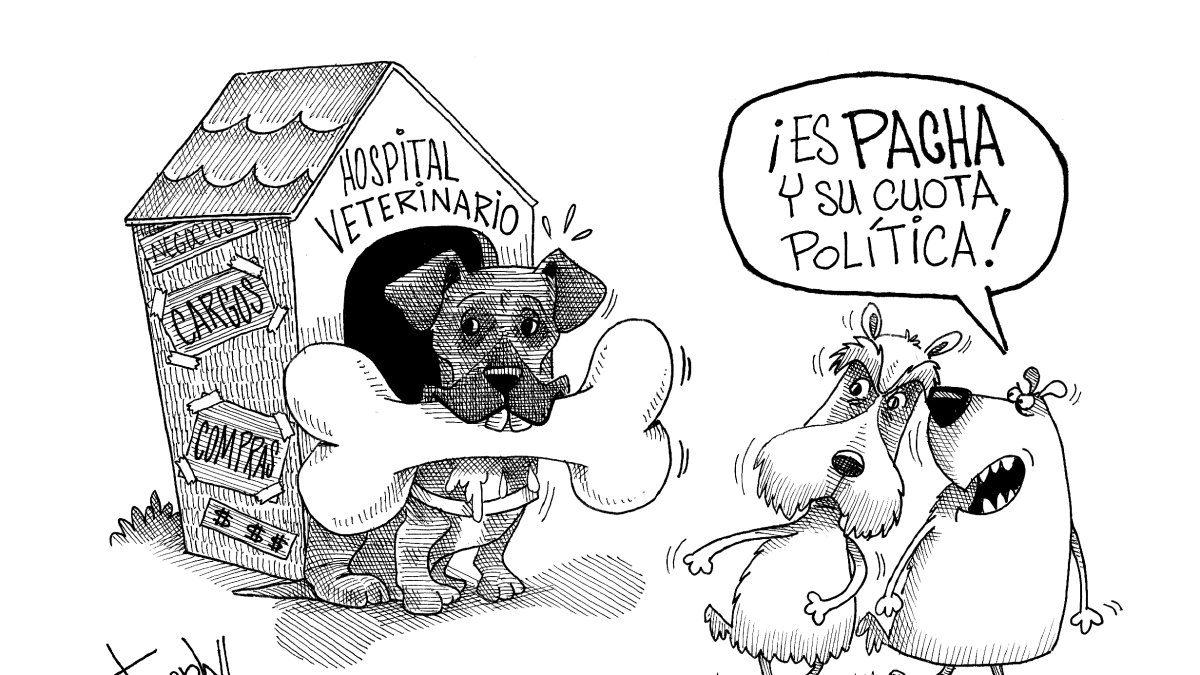 Caiga quien caiga y sin cortina de humo