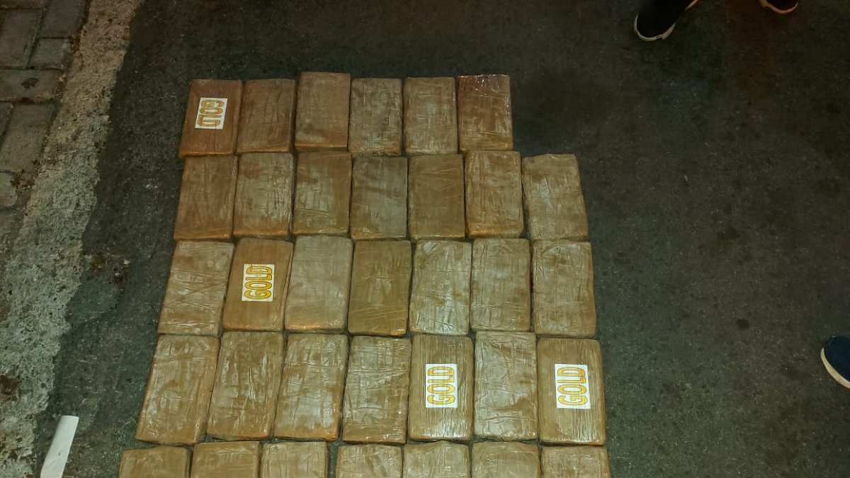 Alcaloide. La droga estaba camuflada en el panel de refrigeración.