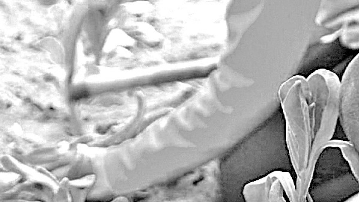 A más que de acuerdo al Banco Mundial en Ecuador las familias están 70 % ubicadas en zonas urbanas.