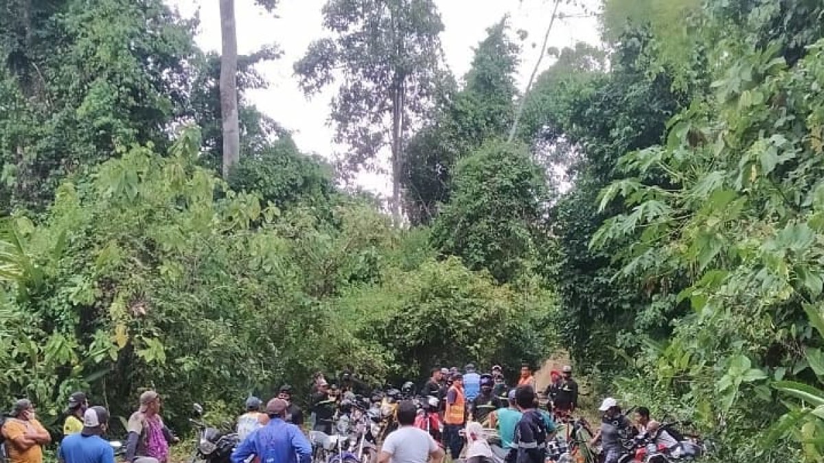 La comunidad obvió las medidas de distanciamiento por el coronavirus, para meterse en el bosque a ayudar a rescatar a sus vecinos.