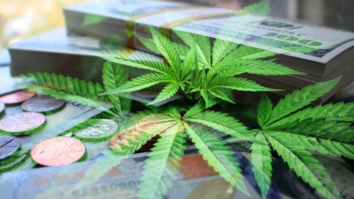 El año pasado se aprobó el cultivo de cannabis con propósitos medicinales en el Código Orgánico Integral Penal (COIP).