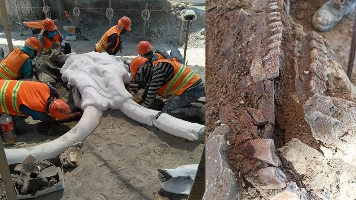 Detalles de los hallazgos.