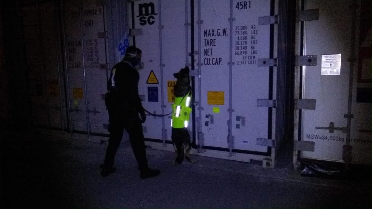 Con la ayuda del can Yenix, los agentes confirmaron que la droga estaba oculta en un contenedor que llevaba una carga de bananos, con destino a Holanda.