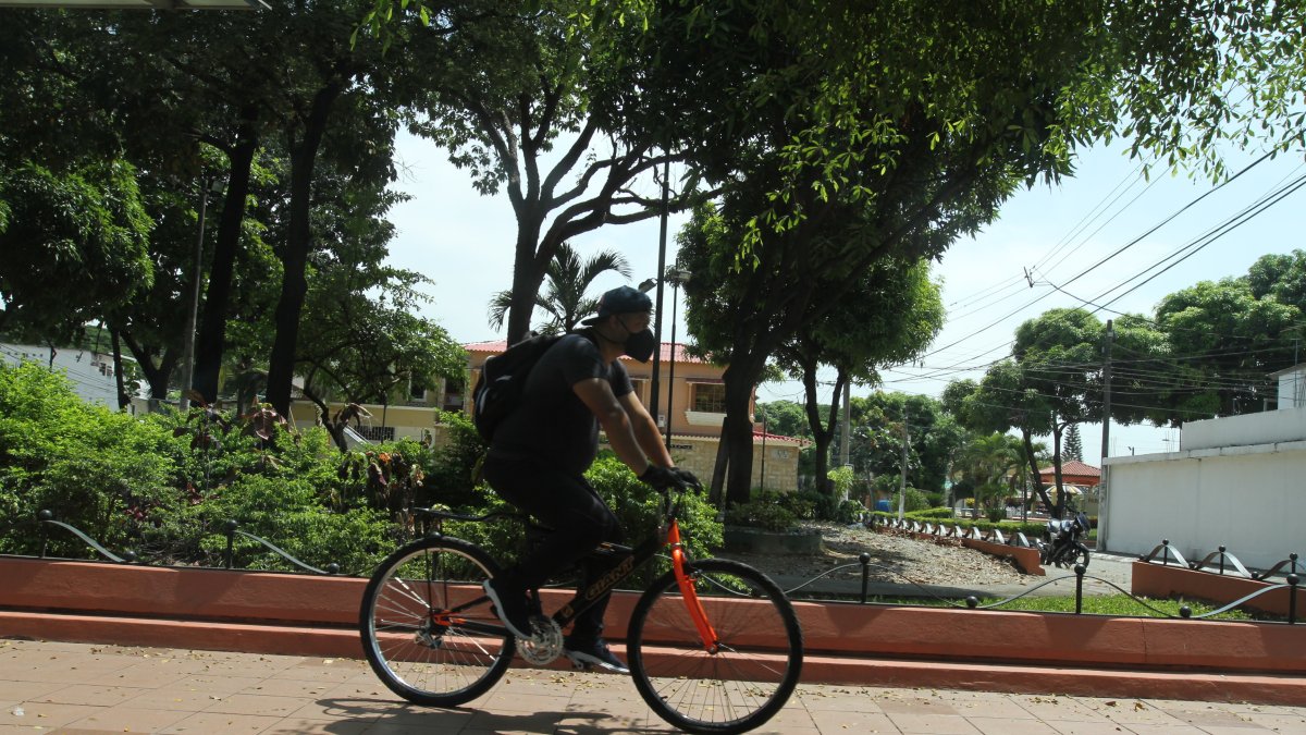 Hecho. En la era del post coronavirus, la bicicleta será el medio de transporte ideal para desplazarse en la ciudad.