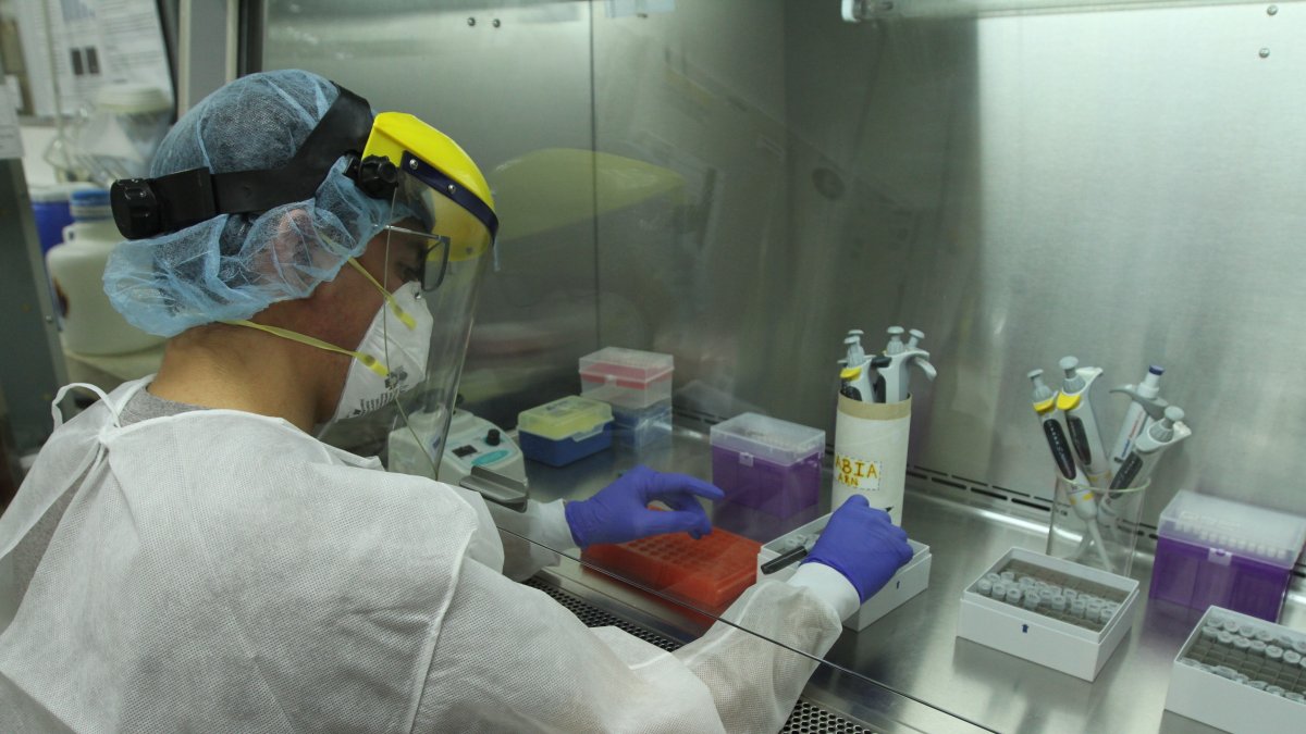 El Laboratorio de Biomedicina de la Espol realiza pruebas de diagnóstico del nuevo virus.