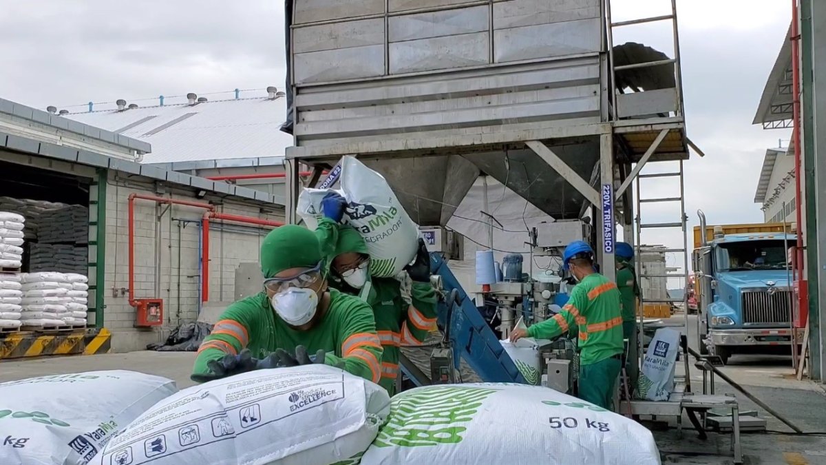 Los graneles han entrado y salido del país a través de QC Terminales.