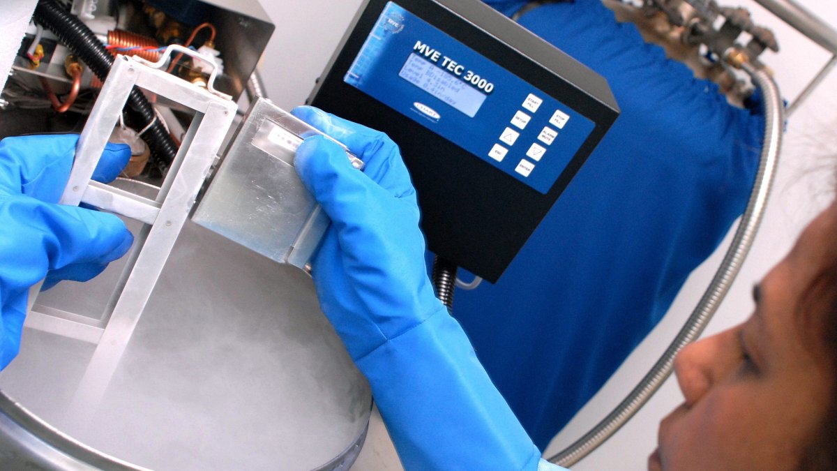 El uso de células madre en tratamientos médicos son exitosos, pero también hay muchos lugares que ofrecen terapias que no han sido comprobadas científicamente.