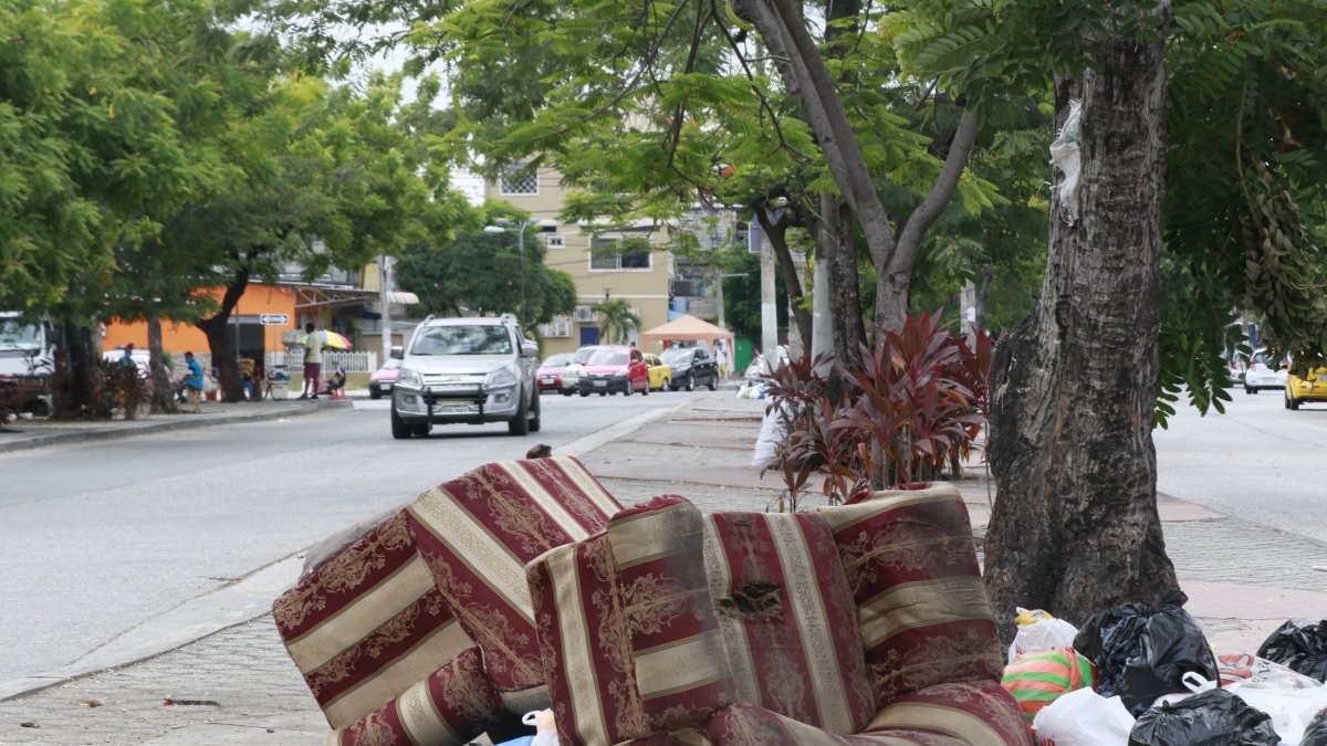 Situación. Así permanecían estos objetos en la avenida principal de Sauces 4.