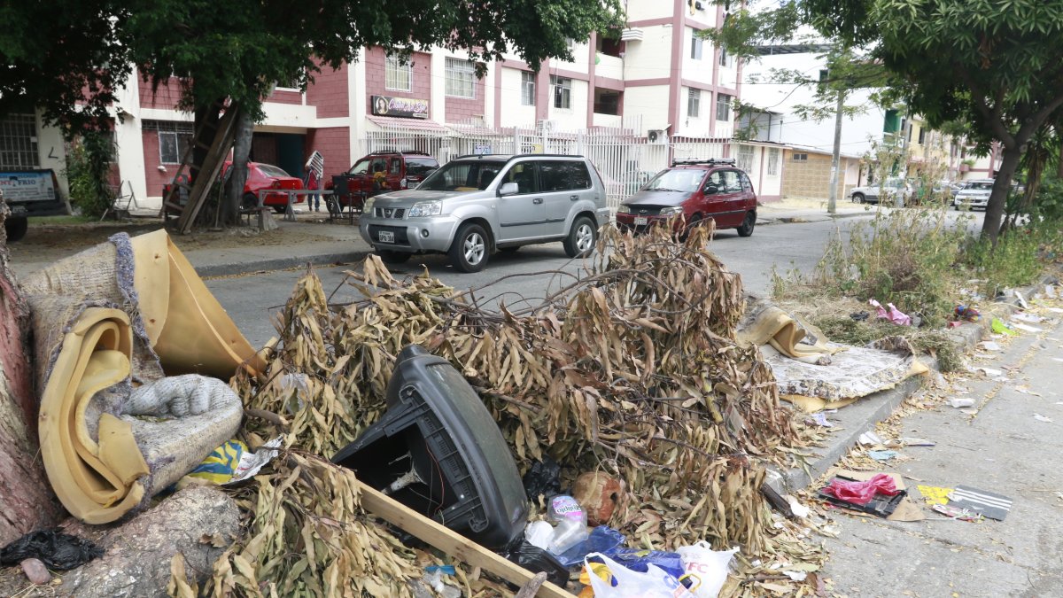 Hecho Desperdicios como colchones han sido abandonados en los parterres y calles de diferentes sectores de la ciudad.
