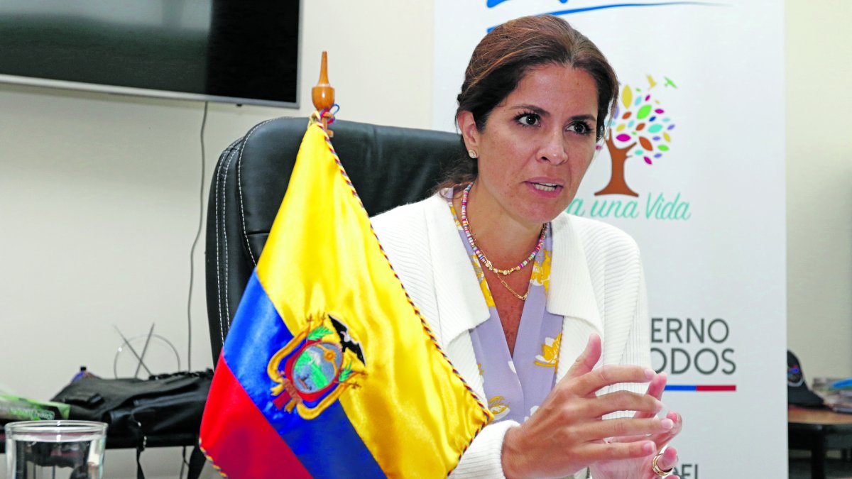 La secretaria del deporte, Andrea Sotomayor, explicó el alcance de la prohibición del COE Nacional para el deporte profesional.