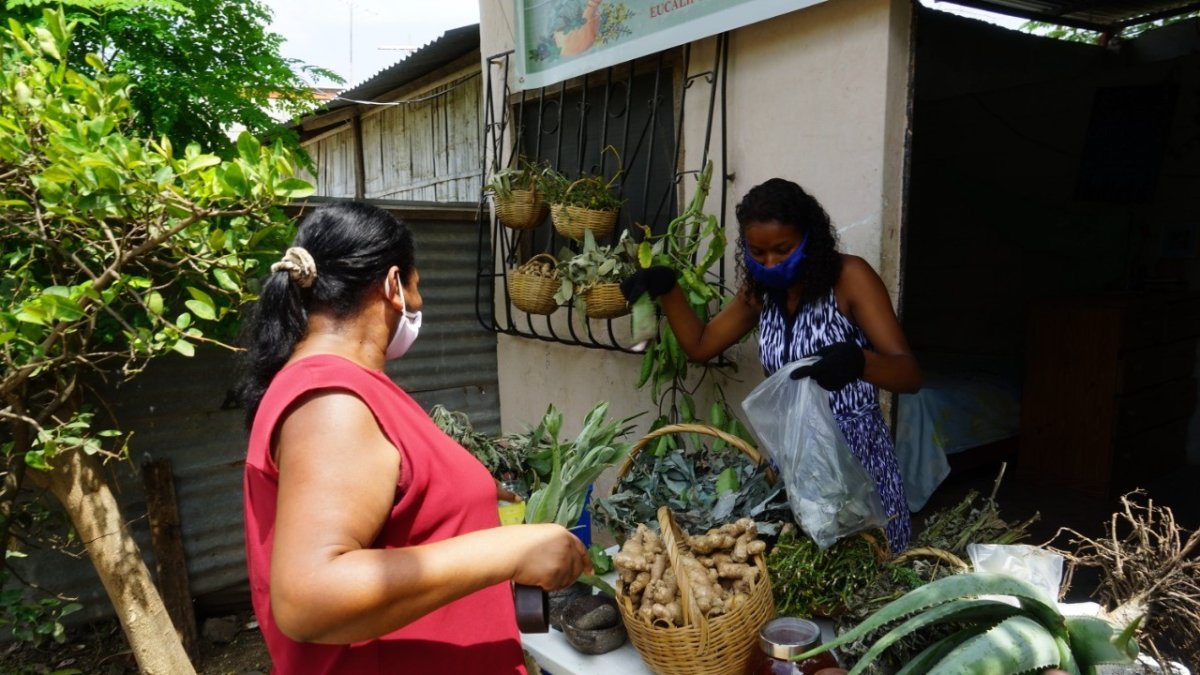 Usuario. Amelia Monte despacha pedidos de clientes. Tiene ruda, eucalipto, insulina y dulcamara entre otras hierbas curativas.
