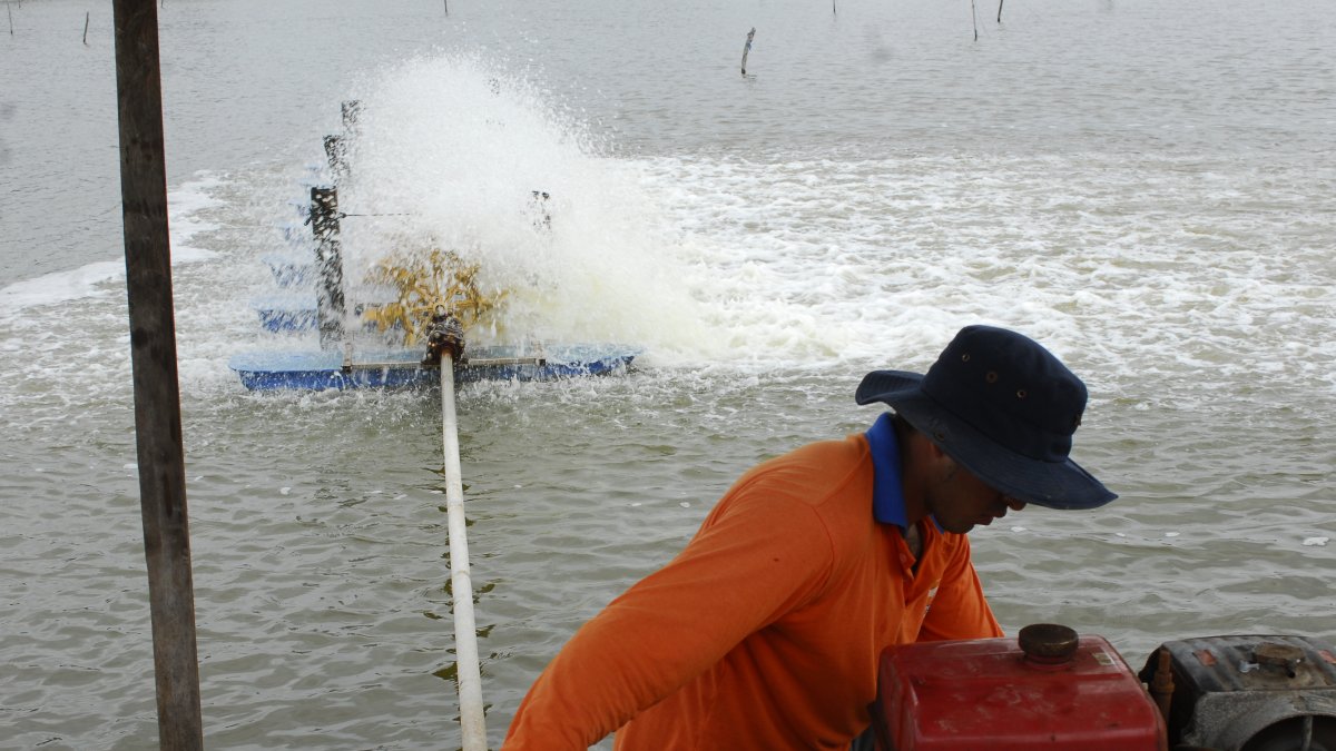 En el sector camaronero se usa combustibles para las máquinas de aireación.
