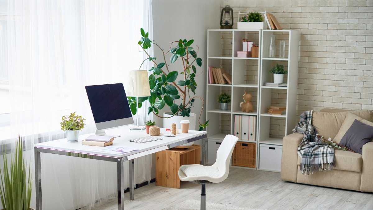 Incluir plantas en la oficina de la casa aporta vida, calidez y le dan un toque de frescura al espacio.
