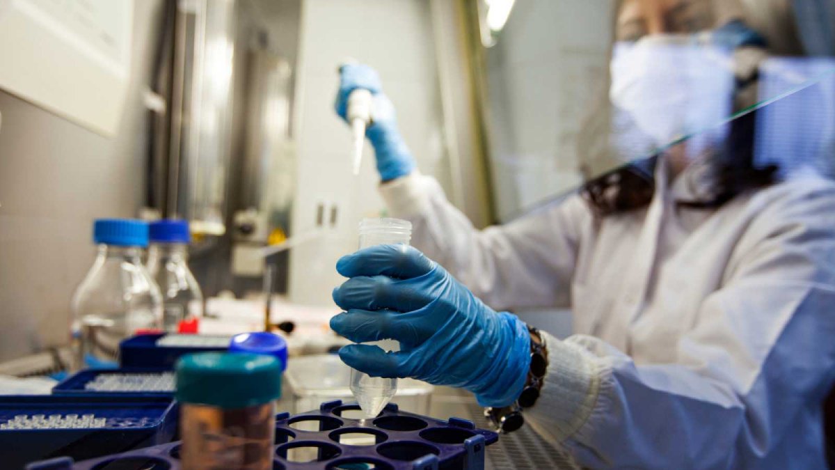 A nivel nacional se han tomado más de 126.000 pruebas PCR y rápidas.