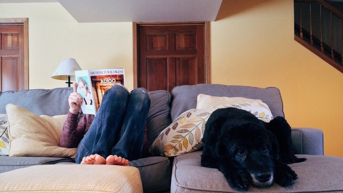 Los perros pueden sufrir de depresión y ansiedad al separarse de sus dueños.