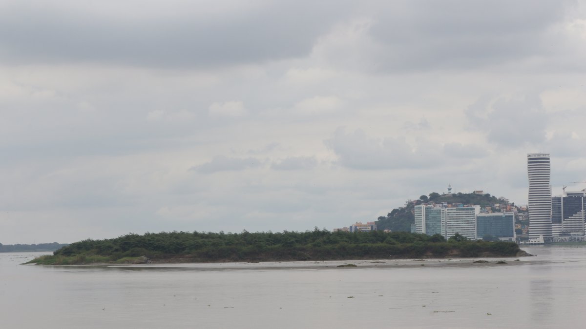 El islote El Palmar es una de las evidencias de que el sedimiento se sigue acumulando en el afluente.