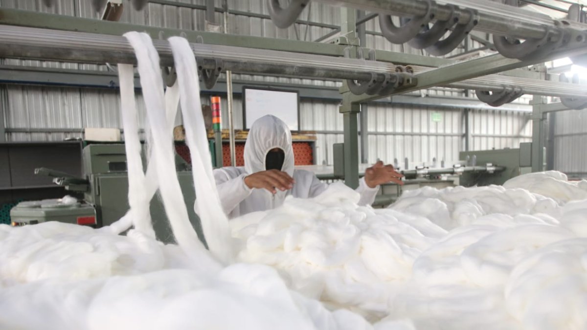 Las empresas esperan recuperar la producción en el mediano plazo