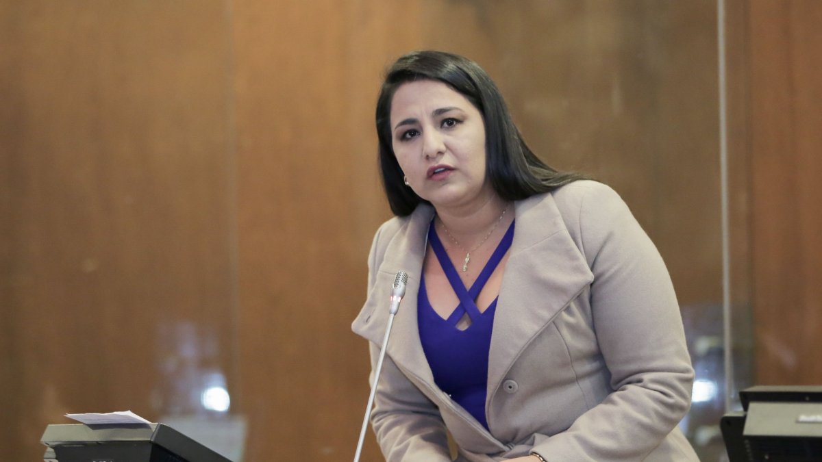 Actor. La asambleísta Tanlly Vera presentó la denuncia en contra de Daniel Mendoza (AP) y pide su destitución.