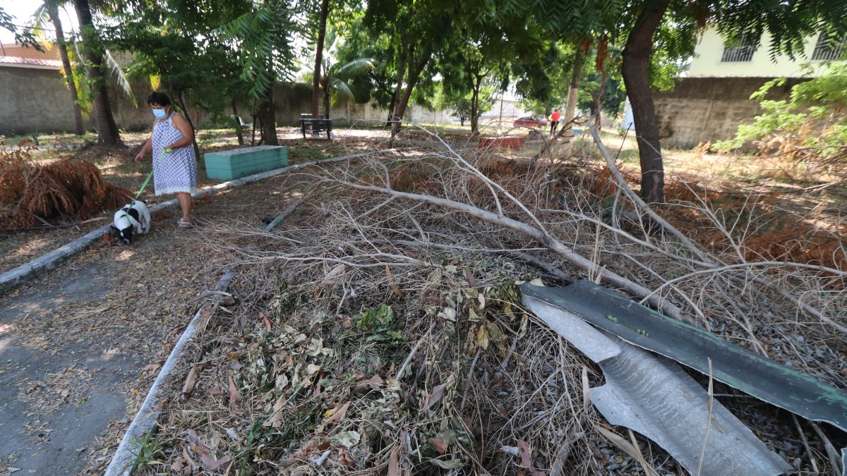 Samanes. Ese es el estado en el que permanece el parque de la manzana 957. Hay ramas y hasta pedazos de zink sobre el suelo.