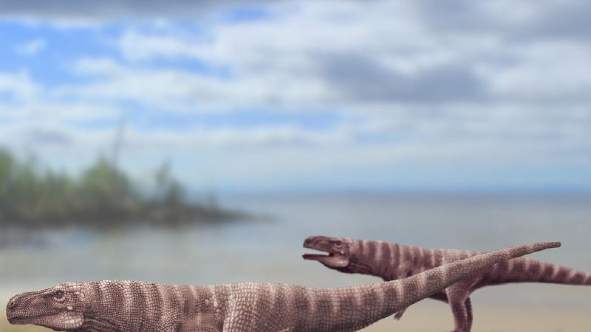 Recreación del Batrachopus que dejaría las huellas en Jinju, Corea del Sur.