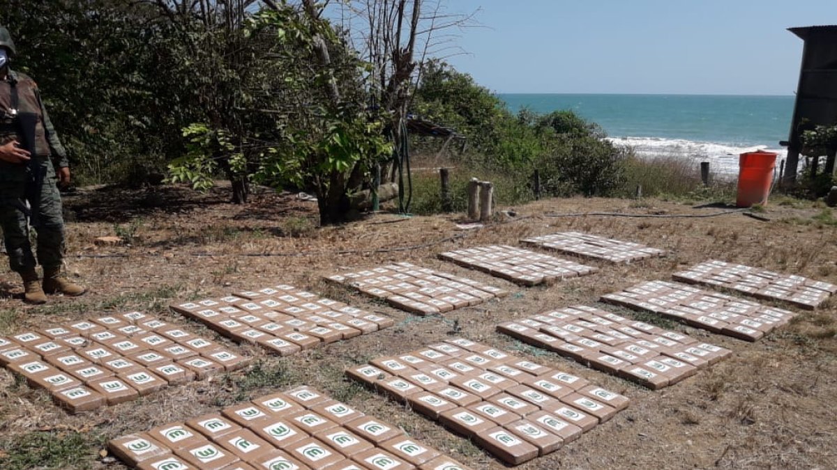 La droga hallada en el sector de la comuna La Cabuya en Jama, Manabí.