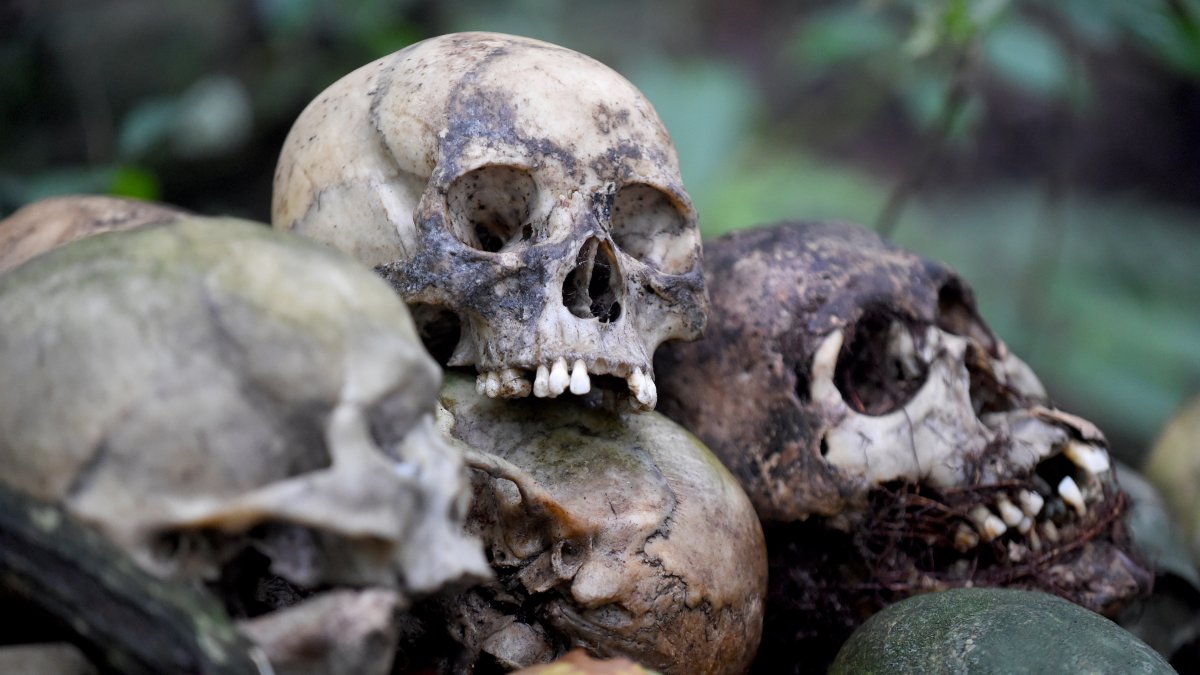 Cráneos en el cementerio de Bali donde los habitantes sostienen funerales al aire libre.
