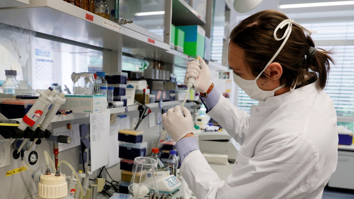 MARBURG. Un viróloga de la Universidad Philipps, de esta ciudad alemana, es parte del programa que investiga una vacuna contra el COVID-19, junto con otros organismos científicos de este país.