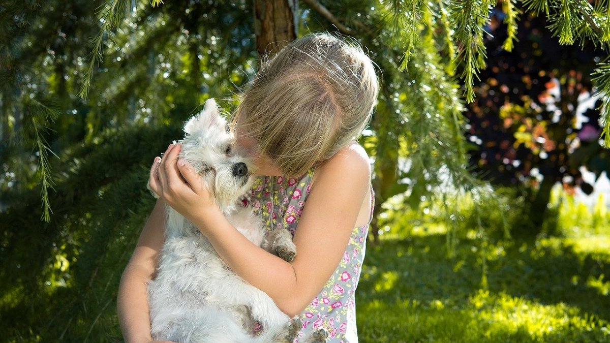 Los perros de asistencia o servicio son claves en familias con niños con autismo.