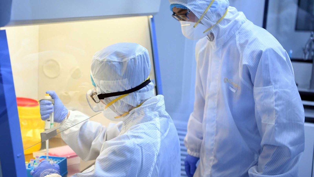 En Guayas se registra el 35.5% de casos, mientras que el 14.5% está en Pichincha.