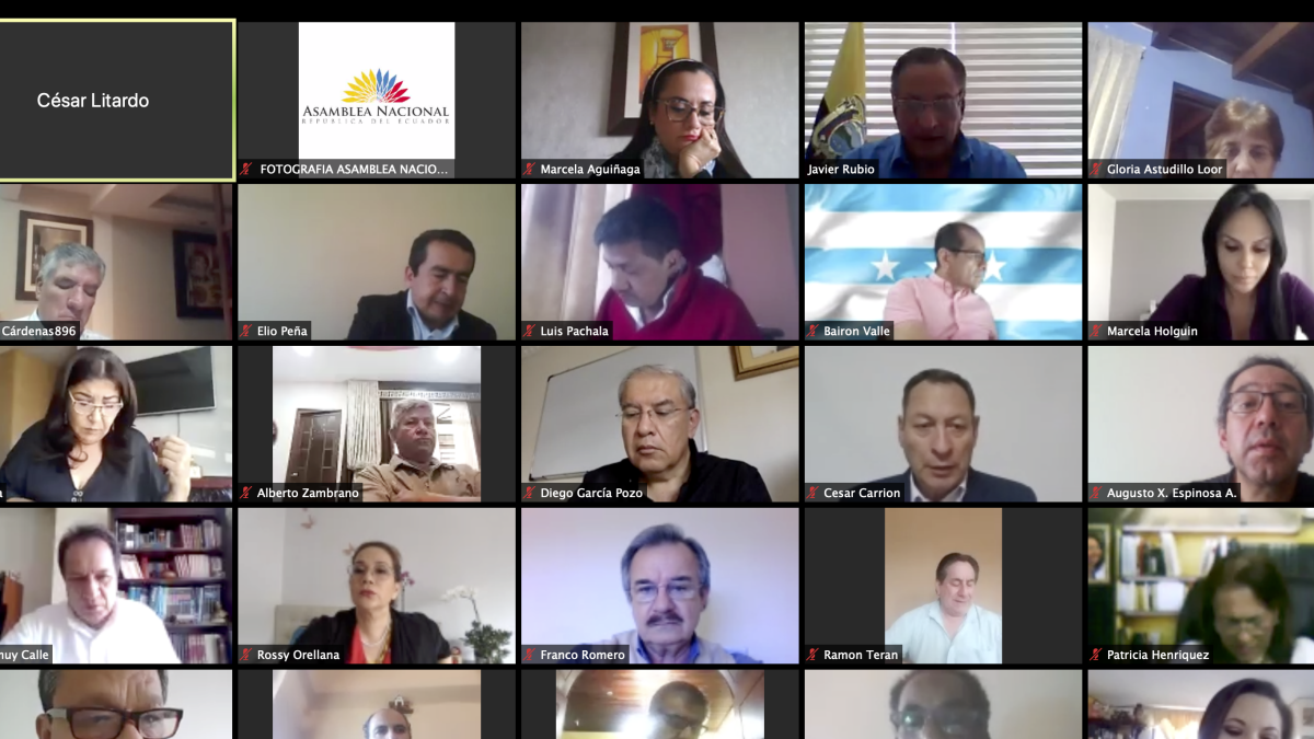 Una de las últimas sesiones virtuales del pleno de la Asamblea Nacional.