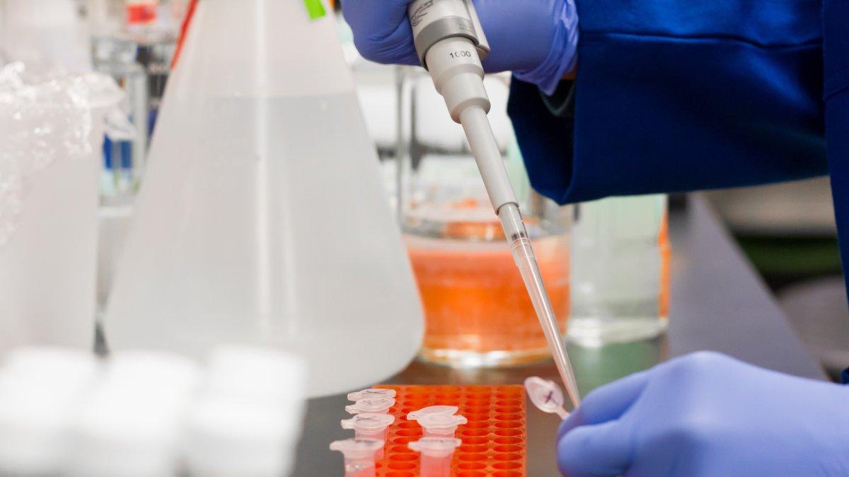 Según el reciente informe del Ministerio de Salud, en Ecuador se han tomado 141.683 pruebas, entre PCR y rápidas.