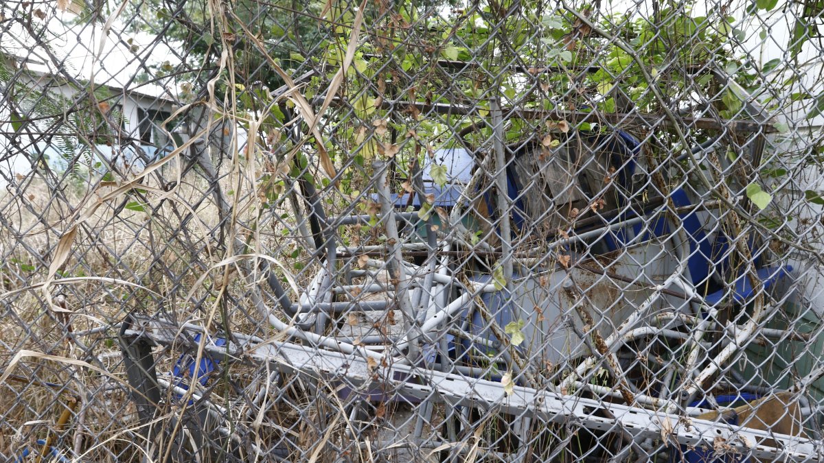 El monte ha crecido tanto en las afueras de la unidad educativa Dolores Cacuango, ubicada en el norte de la ciudad, que dificulta observar el interior de esta.