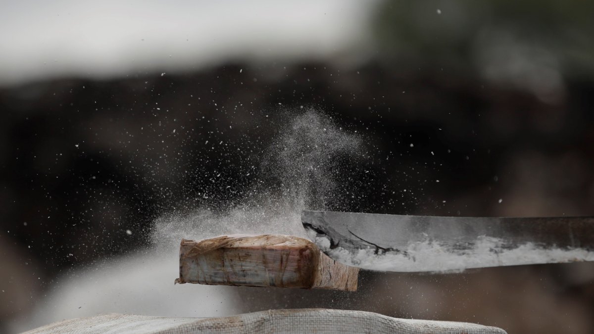 Panamá. La Policía destruye un kilo de cocaína en un vertedero en La Chorrera. Se la incautó en este mes.