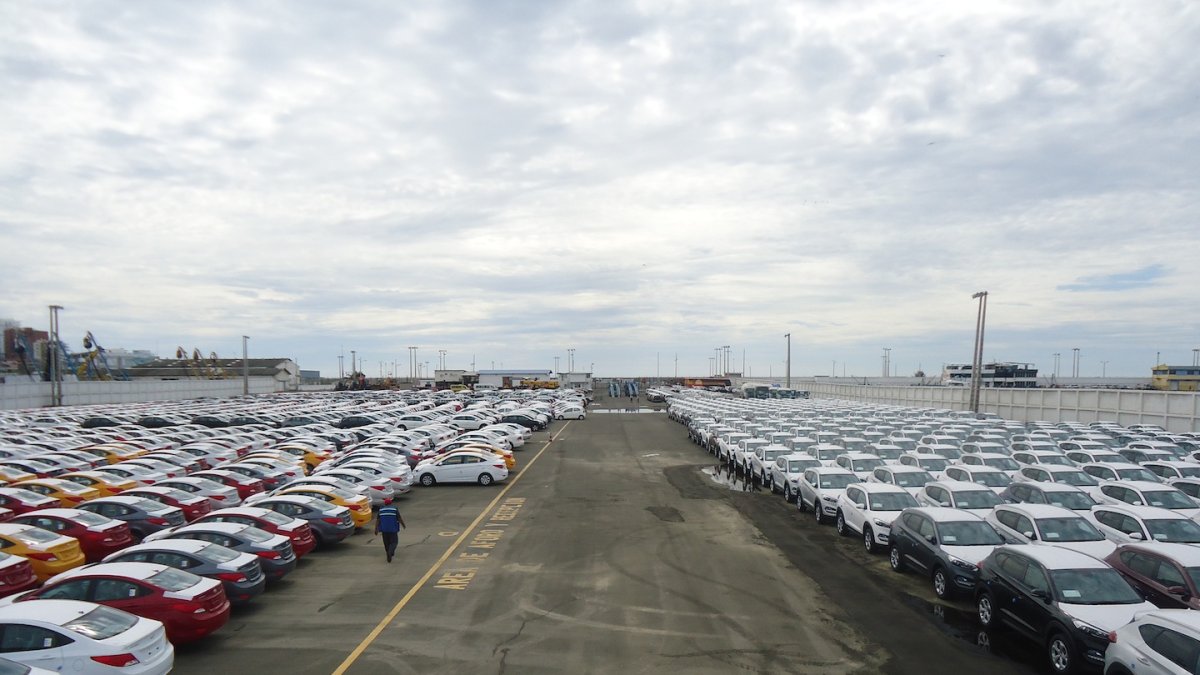 Carnés obtenidos ilícitamente se usaron para importar autos usados.