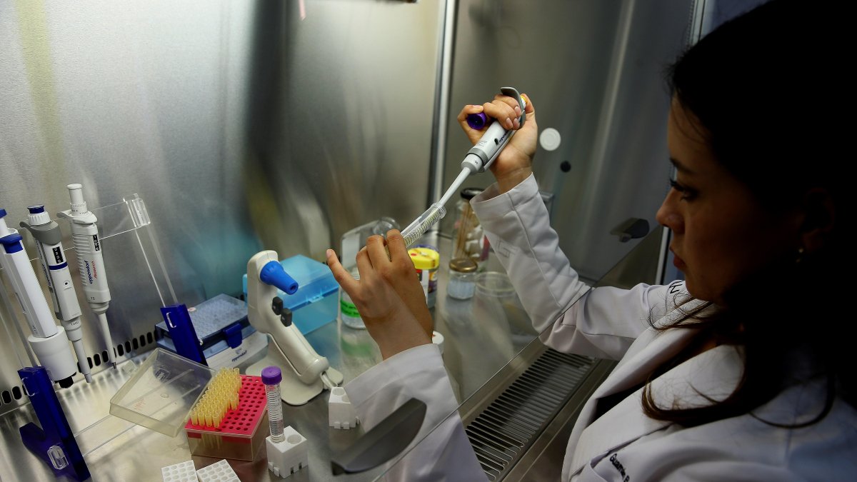 Linda Guamán estudió Ingeniería en Alimentos en la Universidad del Azuay, luego siguió una maestría en Microbiología en la Universidad San Francisco de Quito y un doctorado en Microbiología en la Universidad de Sao Paulo.