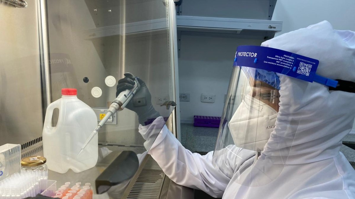 La UTE inició el procesamiento de pruebas PCR